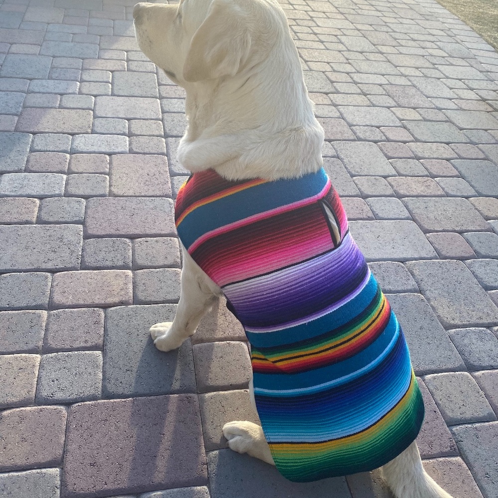 Serape Blanket Dog Vest Coat Various Sizes